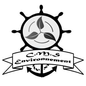 Logo CMS Environnement